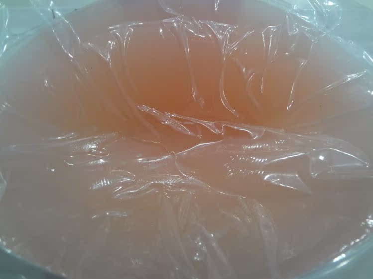 Soutien-gorge discret jeunes femmes - Ref 783852 Image 11